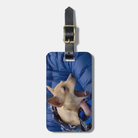 Screaming Chihuahua Bagagelabel (Voorkant verticaal)