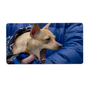 Screaming Chihuahua Etiket