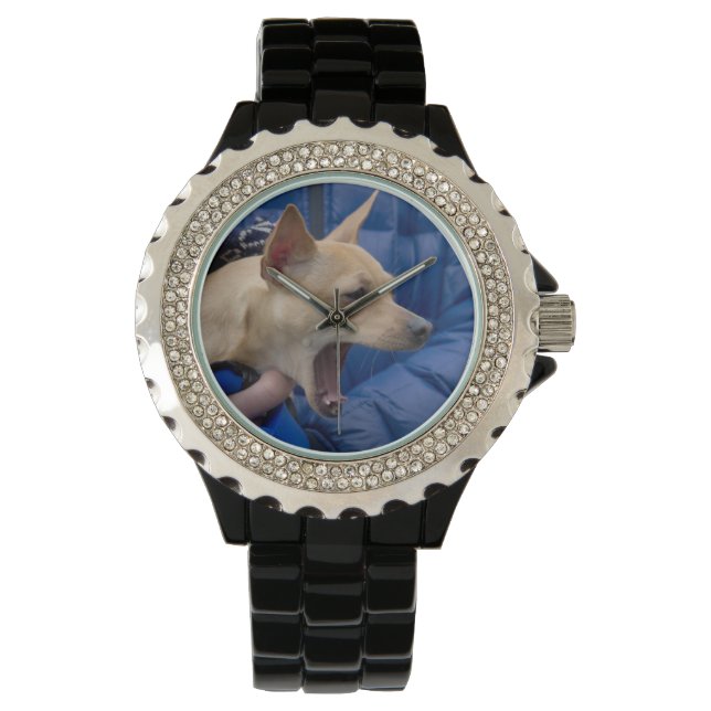 Screaming Chihuahua Horloge (Voorkant)
