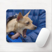 Screaming Chihuahua Muismat (Met muis)