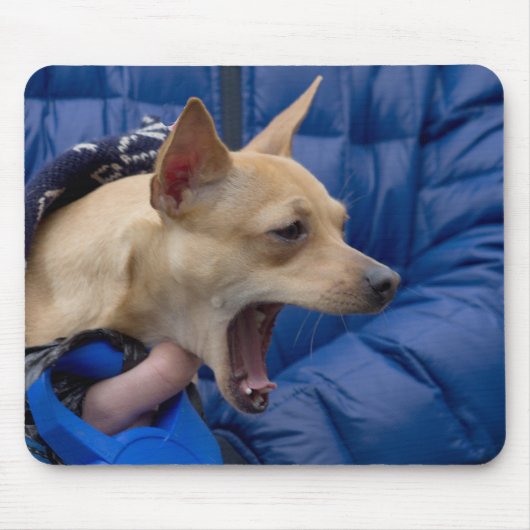 Screaming Chihuahua Muismat (Voorkant)