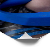 Screaming Chihuahua Poster (Hoek)