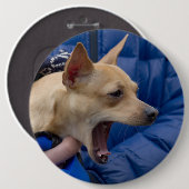 Screaming Chihuahua Ronde Button 6,0 Cm (Voorkant /achterkant)