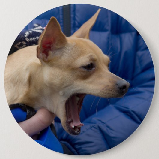 Screaming Chihuahua Ronde Button 6,0 Cm (Voorkant)