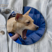 Screaming Chihuahua Ronde Button 6,0 Cm (In situ)