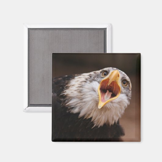 Screaming Eagle Magnet (Voorkant / Achterkant)