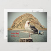 Screaming Seagull Morro Bay, Californië Briefkaart (Voorkant / Achterkant)