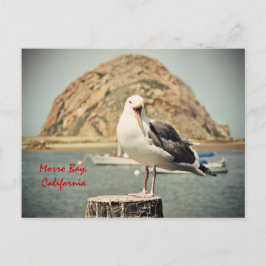 Screaming Seagull Morro Bay, Californië Briefkaart