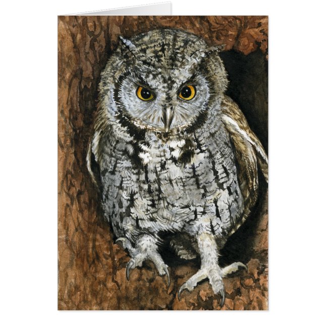 Screech Owl (Voorkant)
