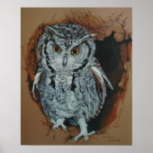 Screech Owl Art Poster (Voorkant)