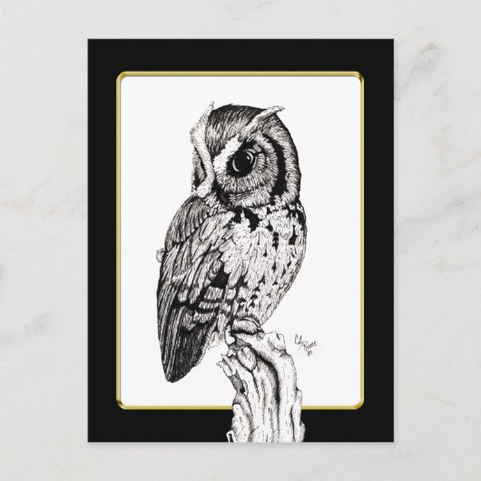 Screech Owl Briefkaart (Voorkant)