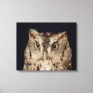 Screech Owl Canvas Afdruk