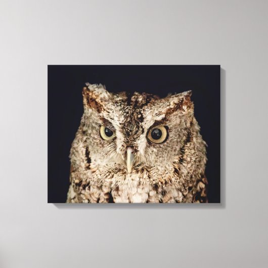 Screech Owl Canvas Afdruk (Voorkant)