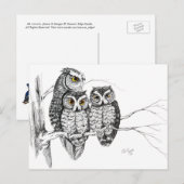 Screech Owl Family 2 Briefkaart (Voorkant / Achterkant)