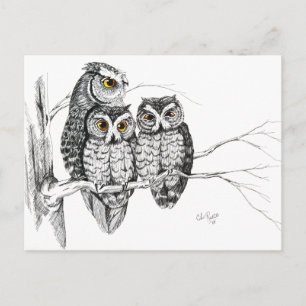 Screech Owl Family 2 Briefkaart