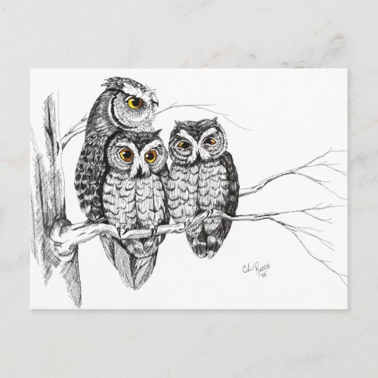 Screech Owl Family 2 Briefkaart (Voorkant)