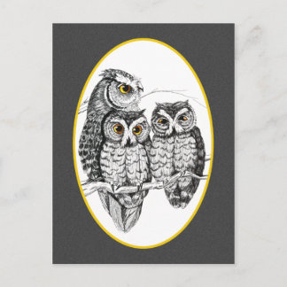 Screech Owl Family Briefkaart