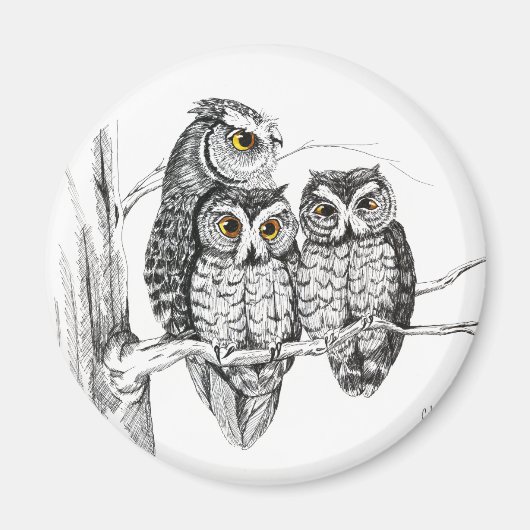 Screech Owl Family Magnet (Voorkant)