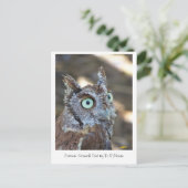Screech Owl II Briefkaart (Staand voorkant)