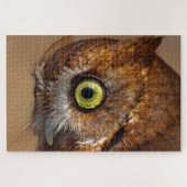 Screech Owl in Stukken Legpuzzel (Horizontaal)