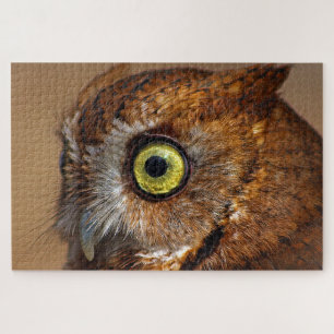 Screech Owl in Stukken Legpuzzel