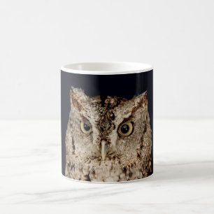 Screech Owl Koffiemok