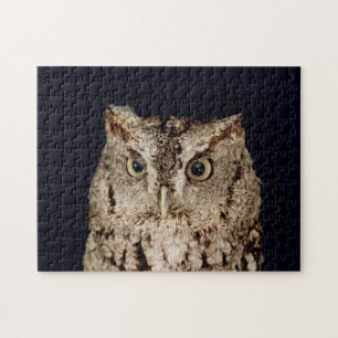 Screech Owl Legpuzzel