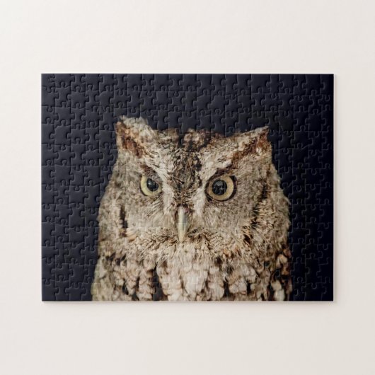 Screech Owl Legpuzzel (Horizontaal)