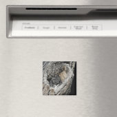 Screech Owl Magnet - "Heart of San Pedro" (Insitu (Vaatwasser))