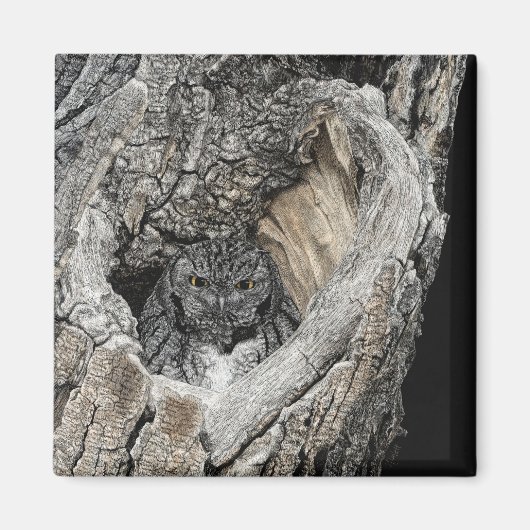 Screech Owl Magnet - "Heart of San Pedro" (Voorkant)