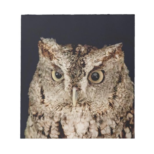 Screech Owl Notitieblok (Voorkant)