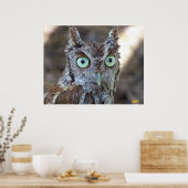 Screech Owl Poster (Keuken)