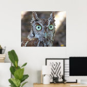 Screech Owl Poster (Thuiskantoor)