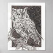 Screech Owl Poster (Voorkant)