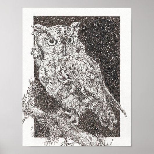 Screech Owl Poster (Voorkant)