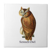 Screech Owl Tegeltje (Voorkant)