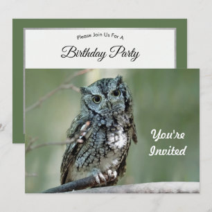 Screech Owl Tree Branch Foto Verjaardag Kaart