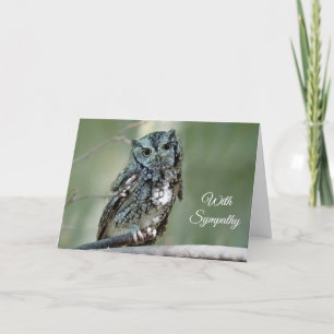 Screech Owl Tree Branch Sympathie Kaart