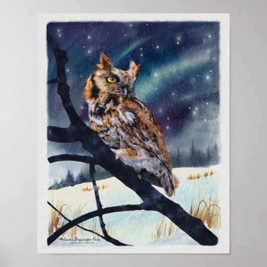 Screech Owl Winter Night Poster (Voorkant)