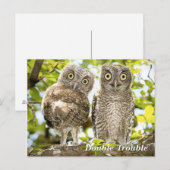 Screech Owls Chicken Briefkaart (Voorkant / Achterkant)