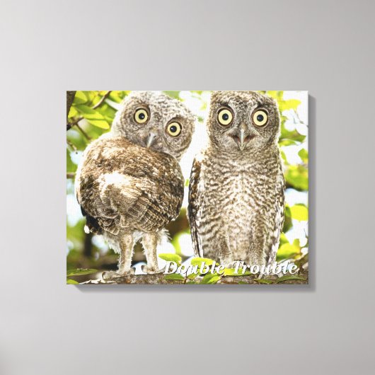 Screech Owls Chicken Canvas Afdruk (Voorkant)
