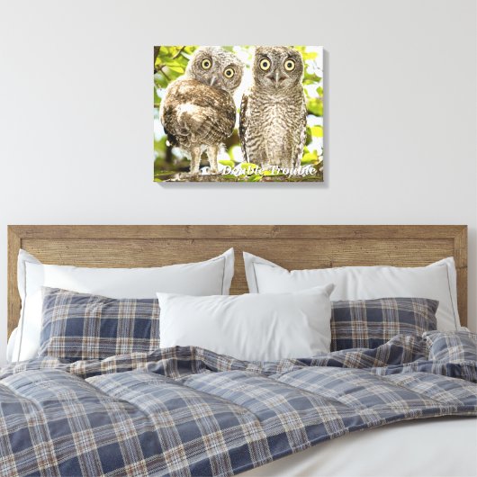Screech Owls Chicken Canvas Afdruk (Insitu (Slaapkamer))