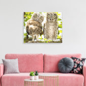 Screech Owls Chicken Canvas Afdruk (Insitu (Woonkamer))