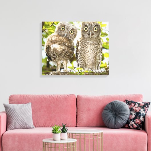 Screech Owls Chicken Canvas Afdruk (Insitu (Woonkamer))