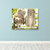 Screech Owls Chicken Canvas Afdruk (Insitu (Houten vloer))