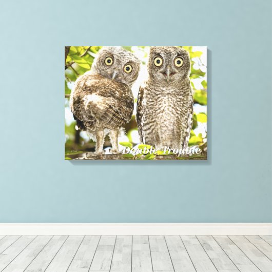 Screech Owls Chicken Canvas Afdruk (Insitu (Houten vloer))