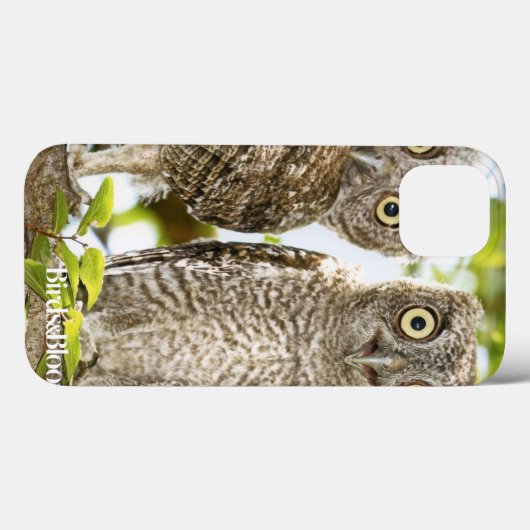 Screech Owls Chicken Case-Mate iPhone Case (Achterkant (horizontaal))