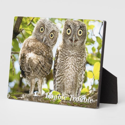 Screech Owls Chicken Fotoplaat (Zijkant)