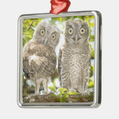 Screech Owls Chicken Metalen Ornament (Links)