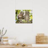 Screech Owls Chicken Poster (Keuken)